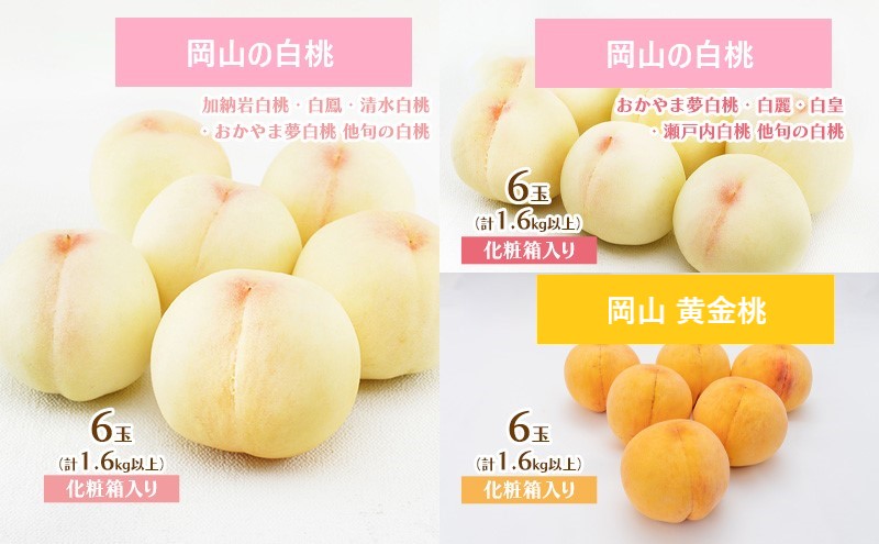 【ふるさと納税】桃 定期便 2026年 先行予約 岡山 の 桃 食べ比べ 3回コース もも ...