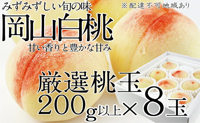 【ふるさと納税】桃 2024年 先行予約 岡山の白桃 200g以上×8玉 白桃 旬 みずみずしい 晴れの国 おかやま 岡山県産 フルーツ王国 果物王国　【デザート 岡山の桃 旬の桃 】　お届け：2024年7月上旬～2024年7月下旬