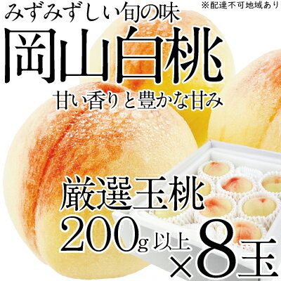 桃 2024年 先行予約 岡山の白桃 200g以上×8玉 白桃 旬 みずみずしい 晴れの国 おかやま 岡山県産 フルーツ王国 果物王国 [デザート 岡山の桃 旬の桃 ] お届け:2024年7月上旬〜2024年7月下旬