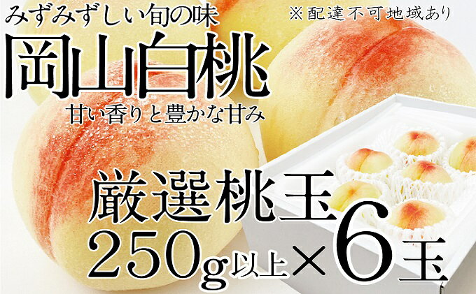 【ふるさと納税】桃 2024年 先行予約 岡山の白桃 250g以上×6玉 白桃 旬 みずみずしい 晴れの国 おかやま 岡山県産 フルーツ王国 果物王国　【デザート 岡山の桃 旬の桃 】　お届け：2024年7月上旬～2024年7月下旬