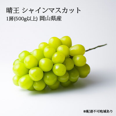 【ふるさと納税】 ぶどう［2023年先行予約］晴王 シャインマスカット 1房（500g以上）岡山県産　【 果物類 フルーツ 果物 】　お届け：2023年8月15日頃〜2023年9月下旬のサムネイル