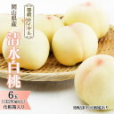 【ふるさと納税】桃 2026年 先行予約 清水 白桃 6玉 (1玉250g以上) 等級:ロイヤル 化粧箱入り もも モモ 岡山県産 国産 フルーツ 果物 ギフト 贈答品 糖度12.0度以上 お届け:2026年7月中旬~2026年8月上旬