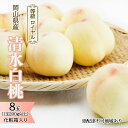 【ふるさと納税】桃 2026年 先行予約 清水 白桃 8玉 (1玉200g以上) 等級:ロイヤル 化粧箱入り もも モモ 岡山県産 国産 フルーツ 果物 ギフト 贈答品 糖度12.0度以上 お届け:2026年7月中旬~2026年8月上旬