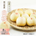 【ふるさと納税】桃 2026年 先行予約 白桃 8玉 (1玉200g以上) 等級:ロイヤル 化粧箱入り もも モモ 岡山県産 国産 フルーツ 果物 ギフト 贈答品 糖度12.0度以上  お届け:2026年7月上旬~2026年8月上旬
