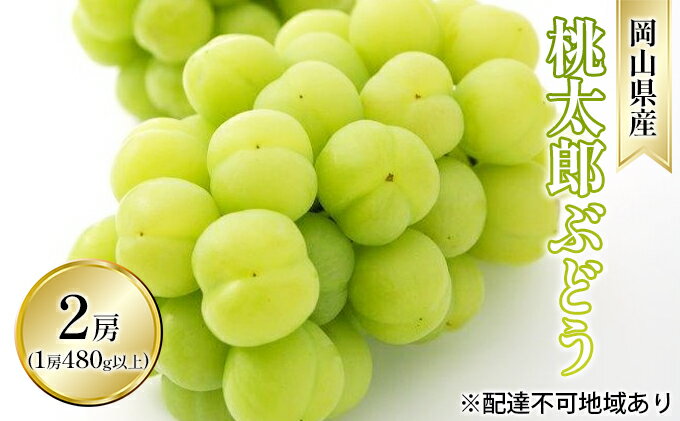 【ふるさと納税】ぶどう 2025年 先行予約 桃太郎 ぶどう 2房（1房 480g以上 露地栽培）贈答用 ブドウ 葡萄 岡山県産 国産 フルーツ 果物 ギフト 岡山の葡萄 　お届け：2025年9月上旬～2025年10月中旬