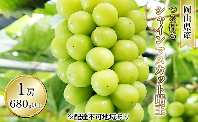 【ふるさと納税】ぶどう 2026年 先行予約 つる付き シャイン マスカット 晴王 1房 680g以上（露地栽培） ブドウ 葡萄 岡山県産 国産 フルーツ 果物 ギフト 岡山の葡萄 　お届け：2026年9月上旬～2026年10月中旬