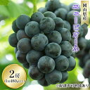 【ふるさと納税】ぶどう 2025年 先行予約 ニュー ピオーネ 2房入り(1房 480g以上 ハウス栽培) ブドウ 葡萄 岡山県産 国産 フルーツ 果物 ギフト 岡山の葡萄  お届け:2026年7月上旬~2026年8月上旬