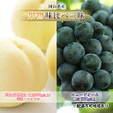 【ふるさと納税】桃 ぶどう 2025年 先行予約 果物 味比べ三昧 岡山 白桃 2玉 等級:ロイヤル(1玉260g以上)ニュー ピオーネ 1房 580g以上 詰...