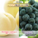 【ふるさと納税】桃 ぶどう 2026年 先行予約 果物 味比べ三昧 岡山 白桃 2玉 等級:ロイヤル(1玉220g以上)ニュー ピオーネ 1房 380g以上 詰合せ もも 葡萄 岡山県産 国産 フルーツ 果物 ギフト 岡山の桃 岡山の葡萄 食べ比べ お届け:2026年7月上旬~2026年8月上旬