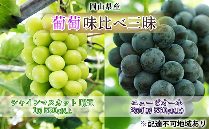 【ふるさと納税】ぶどう 2025年 先行予約 葡萄 味比べ三昧 シャイン マスカット 晴王 1房 580g以上 ニュー ピオーネ 2房（1房 580g以上）（ハウス栽培）詰合せ ブドウ 葡萄 岡山県産 国産 フルーツ 果物 ギフト 　お届け：2025年7月上旬～2025年8月上旬