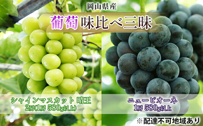 【ふるさと納税】ぶどう 2026年 先行予約 葡萄 味比べ三昧 シャイン マスカット 晴王 2房（1房 580g以上）ニュー ピオーネ 1房 580g以上（ハウス栽培）詰合せ ブドウ 葡萄 岡山県産 国産 フルーツ 果物 ギフト 　お届け：2026年7月上旬～2026年8月上旬