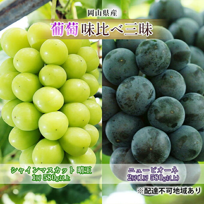 【ふるさと納税】ぶどう 2025年 先行予約 葡萄 味比べ三昧 シャイン マスカット 晴王 1房 580g以上 ニュー ピオーネ 2房(1房 580g以上)(露地栽培)詰合せ ブドウ 葡萄 岡山県産 国産 フルーツ 果物 ギフト お届け:2025年9月上旬~2025年10月中旬