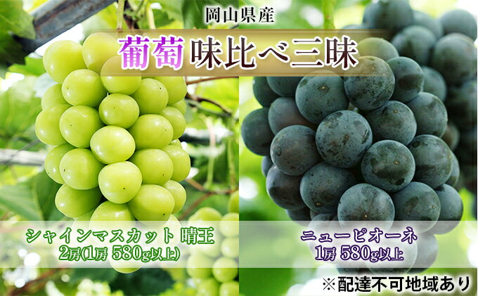 【ふるさと納税】ぶどう 2026年 先行予約 葡萄 味比べ三昧 シャイン マスカット 晴王 2房（1房 580g以上）ニュー ピオーネ 1房 580g以上（露地栽培）詰合せ ブドウ 葡萄 岡山県産 国産 フルーツ 果物 ギフト 　お届け：2026年9月上旬～2026年10月中旬