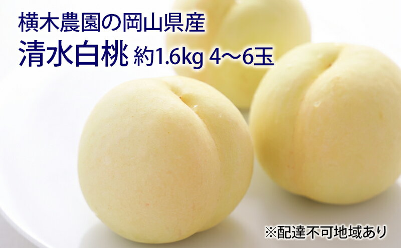 【ふるさと納税】桃 2025年 先行予約 清水 白桃 約1.6kg 4～6玉 もも モモ 岡山県産 国産 フルーツ 果物 ギフト 横木農園 清水白桃 スイーツ 　お届け：2025年7月中旬～2025年7月下旬
