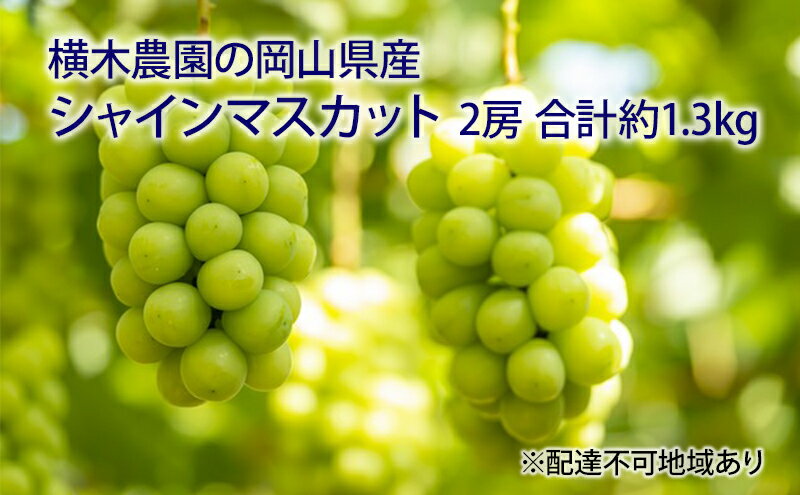 【ふるさと納税】ぶどう 2026年 先行予約 シャイン マスカット 2房 合計約1.3kg 贈答用 ブドウ 葡萄 岡山県産 国産 フルーツ 果物 ギフト 横木農園 果物類 スイーツ 　お届け：2026年9月中旬～2026年10月下旬
