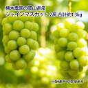 【ふるさと納税】ぶどう 2025年 先行予約 シャイン マスカット 2房 合計約1.3kg 贈答用 ブドウ 葡萄 岡山県産 国産 フルーツ 果物 ギフト 横木農...