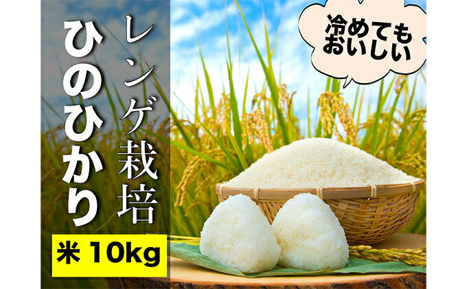 【ふるさと納税】瀬戸内市のおいしい お米 「ひのひかり」 10kg（5kg×2袋）岡山県 瀬戸内市産 石黒農園 ご飯 銘柄米 炭水化物 白米 ライス 主食 和食 おにぎり お弁当 産地直送 f332127-setouchi-10001030 岡山県瀬戸内市 サンプル画像2