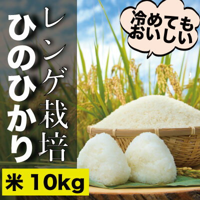 瀬戸内市のおいしい お米 「ひのひかり」 10kg（5kg×2袋）岡山県 瀬戸内市産 石黒農園　【 ご飯 銘柄米 炭水化物 白米 ライス 主食 和食 おにぎり お弁当 産地直送 】