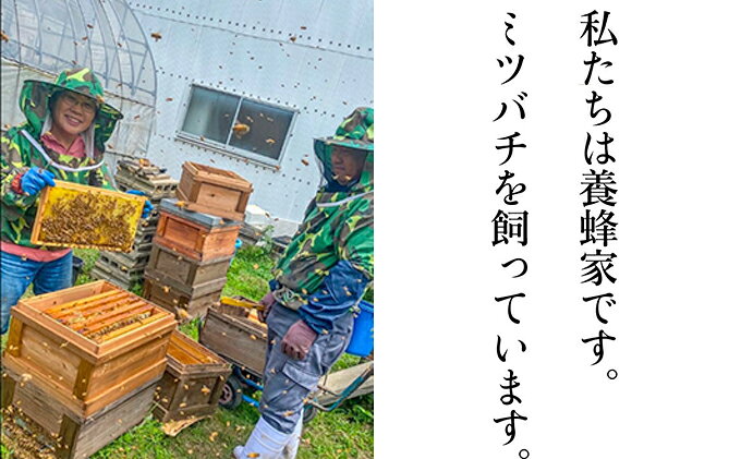 【ふるさと納税】瀬戸内市のおいしい お米 「ひのひかり」 10kg（5kg×2袋）岡山県 瀬戸内市産 石黒農園 ご飯 銘柄米 炭水化物 白米 ライス 主食 和食 おにぎり お弁当 産地直送 f332127-setouchi-10001030 岡山県瀬戸内市 サンプル画像3