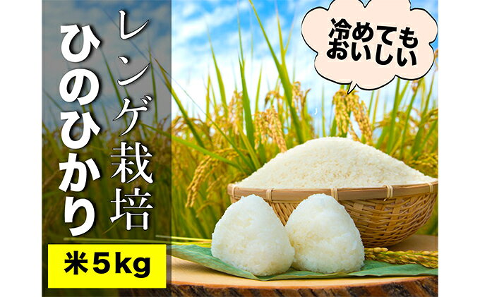 【ふるさと納税】グルテンフリーを実践している農家が作った 米粉 2kg と 米「ひのひかり」5kg のセット 岡山県 瀬戸内市産 石黒農園 ご飯 銘柄米 炭水化物 白米 ライス 主食 和食 おにぎり お弁当 産地直送 製菓向き 瀬戸内市産米の米粉 f332127-setouchi-10001022 岡山県瀬戸内市 サンプル画像3