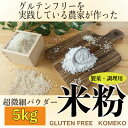 【ふるさと納税】グルテンフリーを実践している農家が作った 米粉 5kg 岡山県 瀬戸内市産 石黒農園 【 超微細パウダー 瀬戸内市産米の米粉 水分吸収率が低い キメが細かい 製菓向き 小麦粉の代…