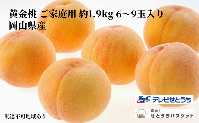 【ふるさと納税】桃 2024年 先行予約 岡山 黄金桃 ご家庭用 約1.9kg 6～9玉入り もも モモ 岡山県産 国産 フルーツ 果物 直送！せとうちバスケット　【 果物 もも フルーツ 】　お届け：2024年8月下旬～2024年9月上旬