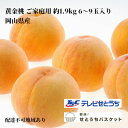 【ふるさと納税】桃 2025年 先行予約 岡山 黄金桃 ご家庭用 約1.9kg 6~9玉入り もも モモ 岡山県産 国産 フルーツ 果物 直送!せとうちバスケット お届け:2025年8月末頃~2025年9月上旬