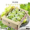 【ふるさと納税】ぶどう 2025年 先行予約 シャイン マスカット 晴王 5房〜10房 約5kg 8月下旬〜11月下旬発送 ブドウ 葡萄 岡山県産 国産 フルー...