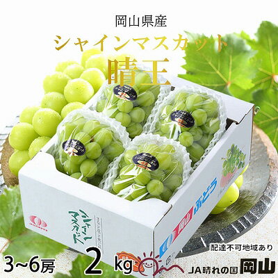 【ふるさと納税】 ぶどう［2023年先行予約］シャインマスカット 晴王 3房〜6房 約2kg 岡山県産　【 果物 フルーツ 岡山の葡萄 デザート 食後 】　お届け：2023年8月下旬〜2023年10月下旬のサムネイル