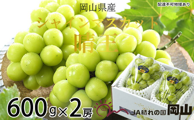 【ふるさと納税】ぶどう 2025年 先行予約 シャイン マスカット 晴王 約600g×2房 8月下旬～11月下旬発送 ブドウ 葡萄 岡山県産 国産 フルーツ 果物 ギフト 岡山の葡萄 デザート 食後 　お届け：2025年8月下旬～2025年11月下旬