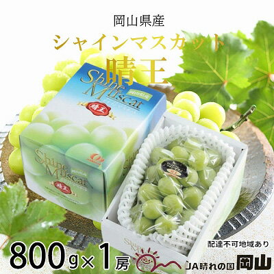 【ふるさと納税】ぶどう 2025年 先行予約 シャイン マスカット 晴王 約800g×1房 8月下旬~11月下旬発送 ブドウ 葡萄 岡山県産 国産 フルーツ 果物 ギフト 岡山の葡萄 デザート 食後 お届け:2025年8月下旬~2025年11月下旬