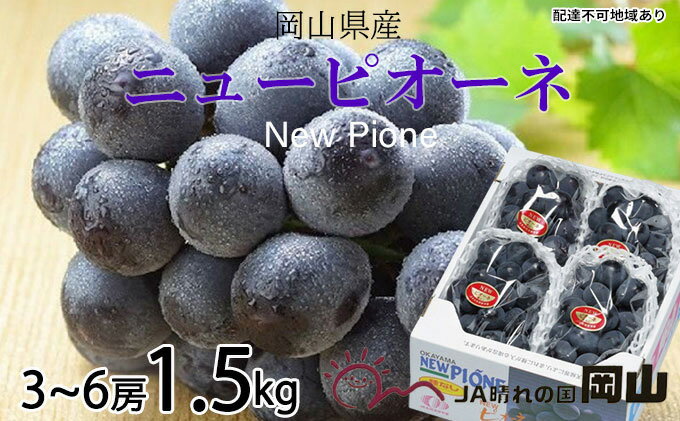 【ふるさと納税】ぶどう 2025年 先行予約 ニュー ピオーネ 3房～6房 約1.5kg 8月下旬～10月上旬発送 ブドウ 葡萄 岡山県産 国産 フルーツ 果物 ギフト 岡山の葡萄 デザート 食後 　お届け：2025年8月下旬～2025年10月上旬