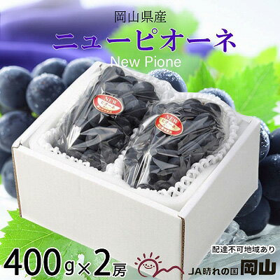 【ふるさと納税】ぶどう 2025年 先行予約 ニュー ピオーネ 約400g×2房 8月下旬~10月上旬発送 ブドウ 葡萄 岡山県産 国産 フルーツ 果物 ギフト 岡山の葡萄 デザート 食後 お届け:2025年8月下旬~2025年10月上旬