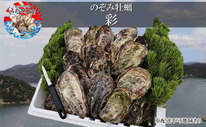 【ふるさと納税】のぞみ 牡蠣 2026年先行予約 ［彩] 殻付き （ 三年牡蠣 ）約45個 ナイフ 、 簡単レシピ 付き 魚貝類 海の幸 海のミルク 海鮮 貝 濃厚 産地直送 取れたて 新鮮 食材 殻付き牡蠣 　お届け：2026年1月上旬～2026年3月下旬