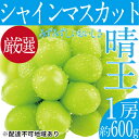 名称シャインマスカット内容量シャインマスカット 晴王 1房 約600g 岡山県内産（5条8号ハ） ※お届け日、時間の指定は申し訳ないですが、お受けできません。記載しています発送期間内で順次配送させていただきます。 ※ぶどうは大変傷みやすいフルーツです。受取後すぐにお品の状態をご確認ください。 ※お品の発送には万全を期しておりますが、輸送中の揺れや扱いなどで品質不良があった場合は必ず「全量の写真・画像」を添付の上、お早めにメールでご連絡ください。産地岡山県事業者ハレノフルーツ配送方法冷蔵配送お届け時期2024年9月中旬～2024年10月下旬備考※画像はイメージです。 ※オンライン決済のみの取扱となります。 ※北海道、沖縄県、離島にはお届けできません。 ※お届け日、時間の指定は申し訳ないですが、お受けできません。 ※記載しています発送期間内で順次配送させていただきます。 ※ぶどうは大変傷みやすいフルーツです。受取後すぐにお品の状態をご確認ください。 ※出荷時期になりましたら、別途メールにてお届けについてのご案内をさせていただきます。 ※天候や収穫状況によりお届け時期が変わることがあります。万が一手配ができないときは別途ご連絡させていただく場合がございます。 ※本品は”押し””キズ”等、箱毎に検品を行い、梱包には細心の注意を払い出荷致しますが、輸送中の振動などを原因とする若干の”押し””キズ”等が入る場合もありますので、誠に恐縮ですがご理解の上、ご依頼下さい。 ※賞味期限：出荷日より冷蔵3～4日 ※お品の発送には万全を期しておりますが、輸送中の揺れや扱いなどで品質不良があった場合は必ず「全量の写真・画像」を添付の上、お早めにメールでご連絡ください。 ・ふるさと納税よくある質問はこちら ・寄附申込みのキャンセル、返礼品の変更・返品はできません。あらかじめご了承ください。【ふるさと納税】ぶどう 2024年 先行予約 シャイン マスカット 晴王 1房 約600g ブドウ 葡萄 岡山県産 国産 フルーツ 果物 ギフト　【 果物 フルーツ デザート 食後 酸味が少ない 産地直送 】　お届け：2024年9月中旬～2024年10月下旬 ●先行予約●2024年の収穫時期に順次出荷します！ 【配達不可：北海道、沖縄県、離島】 瀬戸内の太陽を浴びて育った岡山で誕生したブランド「シャインマスカット晴王」は、宝石のような美しい緑に、パリッとした弾ける食感で皮ごと食べられる葡萄です。 瑞々しい果汁に酸味が少なくしっかりとした甘み、上品な香り、フレッシュな食感が特徴です。 晴天に恵まれた晴れの国おかやまで育ったマスカットの王様「晴王」を是非ご賞味ください。 ※「晴王」の名はJAの厳しい基準をクリアしたものだけに名がつけられるシャインマスカットのブランド名です。 果物 フルーツ デザート 食後 酸味が少ない 産地直送 寄附金の用途について 食のしあわせプロジェクト 自然又は環境の保全に関する事業 医療又は福祉の充実に関する事業 教育、文化又はスポーツの振興に関する事業 産業の振興に関する事業 安全・安心なまちづくりに関する事業 人権に関する事業 SDGsの推進に関する事業 市民活動団体の支援に関する事業 その他市長が必要と認める事業（市におまかせ） 山鳥毛里づくりプロジェクト 後世に伝えたいハンセン病の歴史プロジェクト 夢二のふるさと芸術交流プロジェクト こどもひろばプロジェクト UNHCRを通じた世界難民支援 受領証明書及びワンストップ特例申請書のお届けについて 入金確認後、注文内容確認画面の【注文者情報】に記載の住所にお送りいたします。発送の時期は、入金確認後3週間～1ヶ月程度を目途に、お礼の特産品とは別にお送りいたします。 【ワンストップ特例申請書について】 ＜紙で申請される方＞ ワンストップ特例をご利用される場合、令和6年1月10日までに申請書が当庁まで届くように発送ください。 マイナンバーに関する添付書類に漏れのないようご注意ください。 ダウンロードされる場合は以下よりお願いいたします。 URL：https://event.rakuten.co.jp/furusato/guide/onestop/ ＜オンライン申請される方＞ マイナンバーカードをお持ちの方はオンライン申請が可能です。 下記URLから「自治体マイページ」にログインいただき手続きをお願いいたします。 URL：https://event.rakuten.co.jp/furusato/guide/onestop/online/ ※手続には当市から発行した「寄附番号」が必要です。「寄附番号」は寄附後に当市からお送りしたメールやワンストップ特例申請書へ記載されている12桁の番号となります。