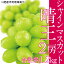 【ふるさと納税】ぶどう 2024年 先行予約 シャイン マスカット 晴王 2房（合計約1.2kg） ブドウ 葡萄 岡山県産 国産 フルーツ 果物 ギフト　【 果物 フルーツ デザート 食後 酸味が少ない 産地直送 】　お届け：2024年9月中旬～2024年10月下旬