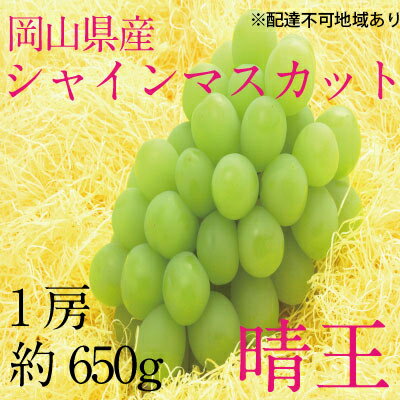 【ふるさと納税】ぶどう 2024年 先行予約 シャイン マスカット 晴王 1房 約650g ブドウ 葡萄 岡山県産 国産 フルーツ 果物 ギフト　【 果物 フルーツ デザート 食後 酸味が少ない 産地直送 】　お届け：2024年9月中旬～2024年10月下旬