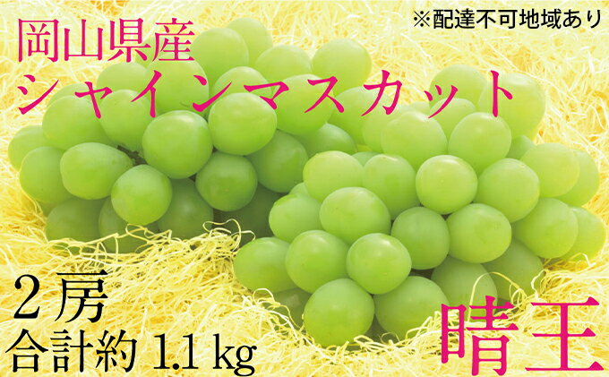 【ふるさと納税】ぶどう 2025年 先行予約 シャイン マスカット 晴王 2房（合計約1.1kg） ブドウ 葡萄 岡山県産 国産 フルーツ 果物 ギフト デザート 食後 酸味が少ない 産地直送 　お届け：2025年9月1日～2025年10月20日