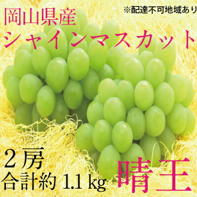 ぶどう 2024年 先行予約 シャイン マスカット 晴王 2房（合計約1.1kg） ブドウ 葡萄 岡山県産 国産 フルーツ 果物 ギフト　【 果物 フルーツ デザート 食後 酸味が少ない 産地直送 】　お届け：2024年9月中旬～2024年10月下旬