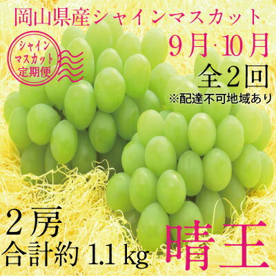 【ふるさと納税】ぶどう 2025年 先行予約 9月・10月発送 シャイン マスカット 晴王 2房(合計約1.1kg) ブドウ 葡萄 岡山県産 国産 フルーツ 果物 ギフト デザート 食後 酸味が少ない 産地直送 お届け:2025年9月1日~2025年10月20日