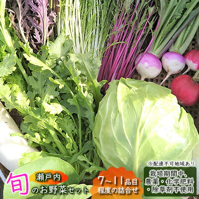 【ふるさと納税】 瀬戸内「旬」のお野菜セット 7～11品目程