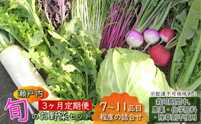 【ふるさと納税】 3ヶ月 定期便 瀬戸内「旬」のお野菜セット 7～11品目程度の詰合せ 野菜 農薬 化学肥料 除草剤不使用 岡山 M’s farm　【定期便・ 野菜の詰め合わせ 味が濃い 新鮮 旬 旬の野菜 】　お届け：2024年4月下旬～2025年1月下旬