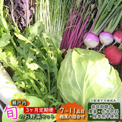 2位! 口コミ数「0件」評価「0」 3ヶ月 定期便 瀬戸内「旬」のお野菜セット 7～11品目程度の詰合せ 野菜 農薬 化学肥料 除草剤不使用 岡山 M’s farm　【定期便･･･ 