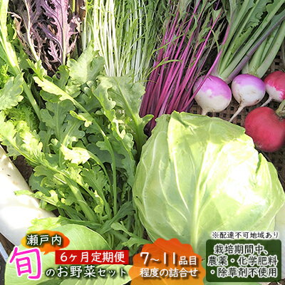 【ふるさと納税】 6ヶ月 定期便 瀬戸内「旬」のお野菜セット 7～11品目程度の詰合せ 野菜 農薬 化学肥料 除草剤不使用 岡山 M’s farm　【定期便・ 野菜の詰め合わせ 味が濃い 新鮮 旬 旬の野菜 】　お届け：2024年4月下旬～2025年1月下旬