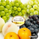 【ふるさと納税】フルーツ 定期便 2025年 先行予約 フルーツ王国 岡山を堪能 5回コース 桃 もも 葡萄 ぶどう 梨 なし岡山県産 国産 果物 セット ギフ...