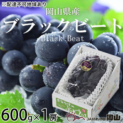 【ふるさと納税】ぶどう 2024年 先行予約 ブラックビート 約600g×1房 ブドウ 葡萄 岡山県産 国産 フルーツ 果物 ギフト　【 果物 フルーツ 岡山のぶどう 岡山の果物 デザート 食後 種無し 大粒 国産 甘味 酸味 バランス 】　お届け：2024年8月中旬～2024年9月上旬 1