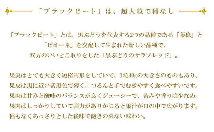 【ふるさと納税】ぶどう 2024年 先行予約 ブラックビート 約600g×1房 ブドウ 葡萄 岡山県産 国産 フルーツ 果物 ギフト　【 果物 フルーツ 岡山のぶどう 岡山の果物 デザート 食後 種無し 大粒 国産 甘味 酸味 バランス 】　お届け：2024年8月中旬～2024年9月上旬 3