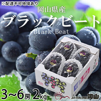 【ふるさと納税】ぶどう 2025年 先行予約 ブラックビート 約2kg 3~6房 ブドウ 葡萄 岡山県産 国産 フルーツ 果物 ギフト 岡山のぶどう 岡山の果物 デザート 食後 種無し 大粒 甘味 酸味 バランス お届け:2025年8月中旬~2025年9月上旬