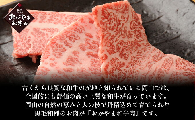 【ふるさと納税】おかやま 和牛肉 A4等級以上 焼肉 用 約600g（肩 ロース 約300g、バラ 約300g）牛 赤身 肉 牛肉 冷凍 お肉 評価 上質 黒毛和種 とろける 霜降り 美味しい バーベキュー f332127-setouchi-10001190 岡山県瀬戸内市 サンプル画像3