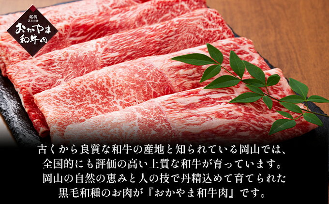 サンプル画像3